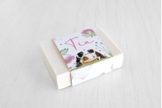 border collie bij mandje border collie bij mandje