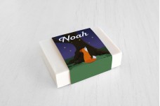 Vosje in de nacht Vosje in de nacht